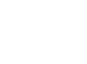 SPINDIGITAL - logo