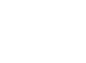 Flymore - logo